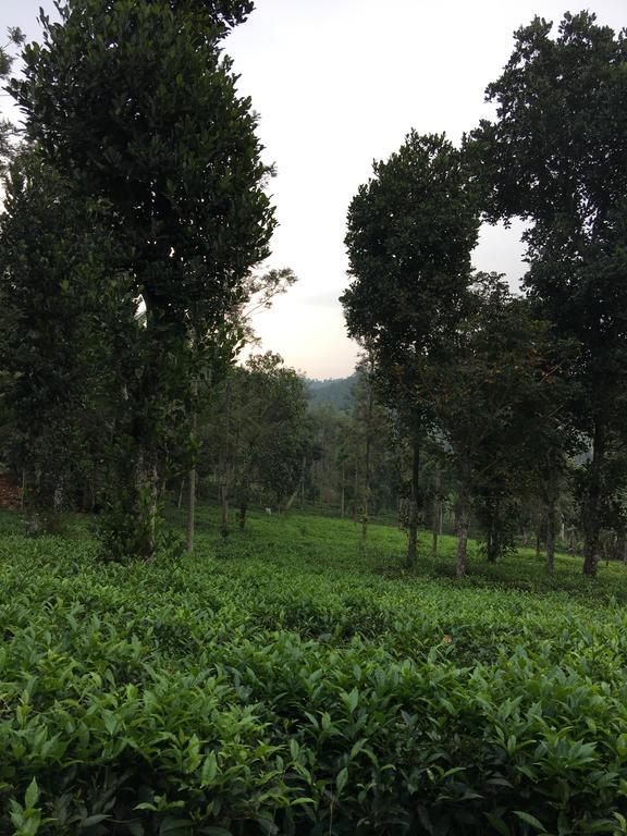 Harmony Farm Wayanad Villa Sultan Bathery Exterior foto