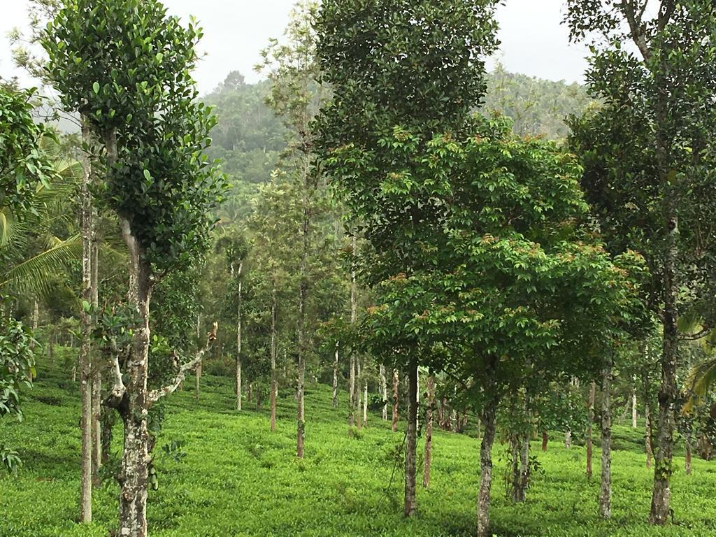 Harmony Farm Wayanad Villa Sultan Bathery Exterior foto