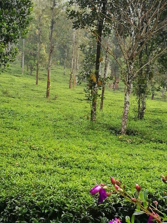 Harmony Farm Wayanad Villa Sultan Bathery Exterior foto