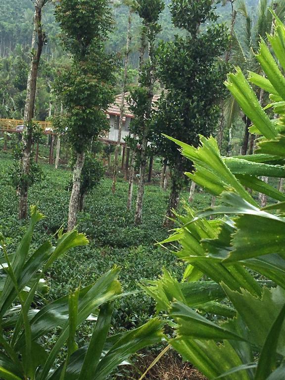 Harmony Farm Wayanad Villa Sultan Bathery Exterior foto
